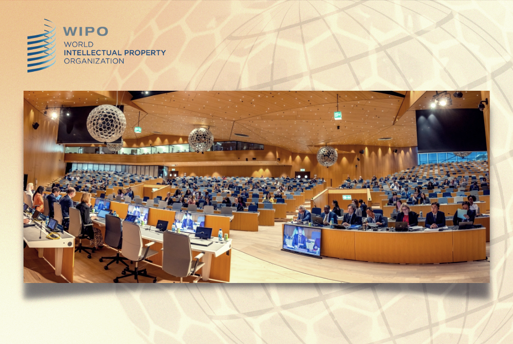 WIPO should stop funding russian projects, – Ukrainian delegation at the 35th session of the WIPO Program and Budget Committee