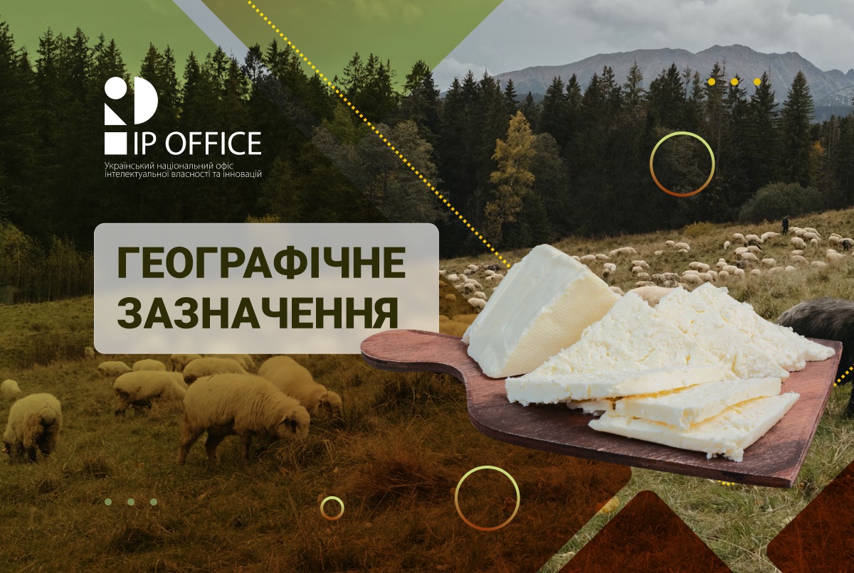 Як івано-франківська бринза стала “гуцульською овечою бриндзьою”
