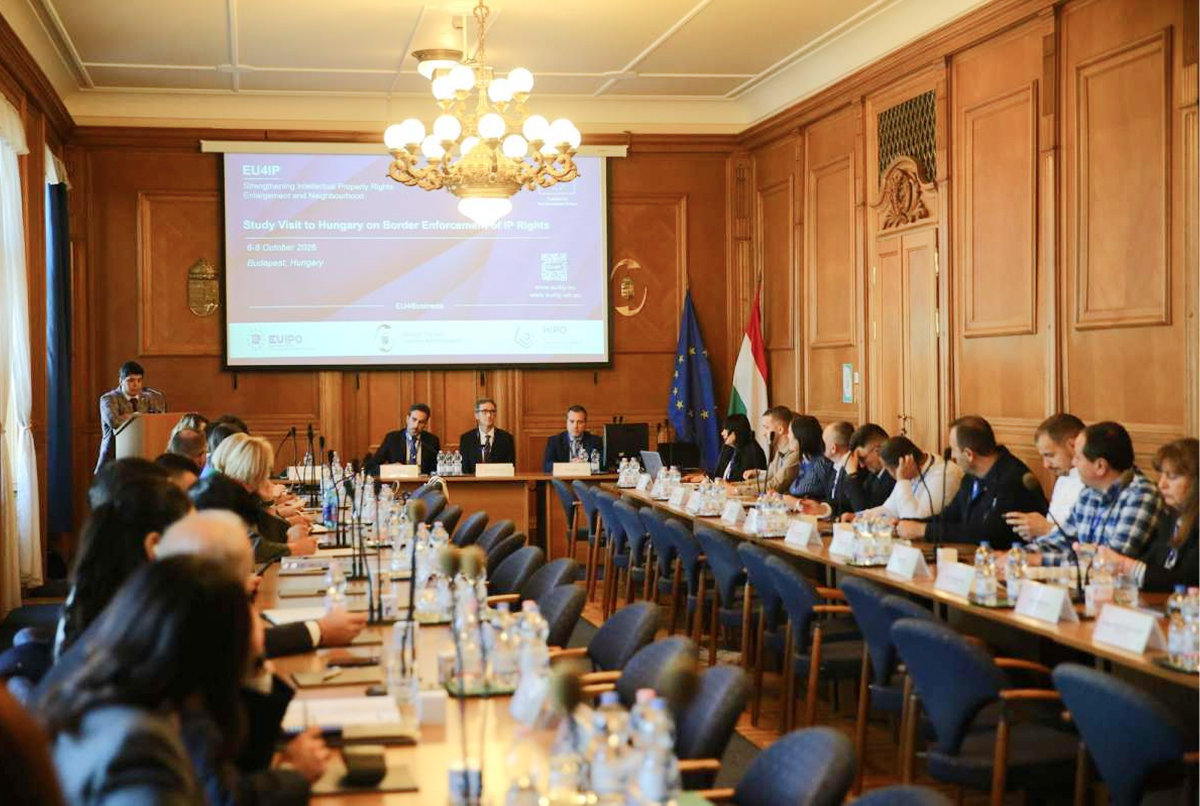 Захист прав інтелектуальної власності на кордоні: українська делегація взяла участь у навчальному візиті до Угорщини
